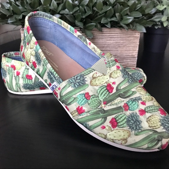 cactus toms shoes